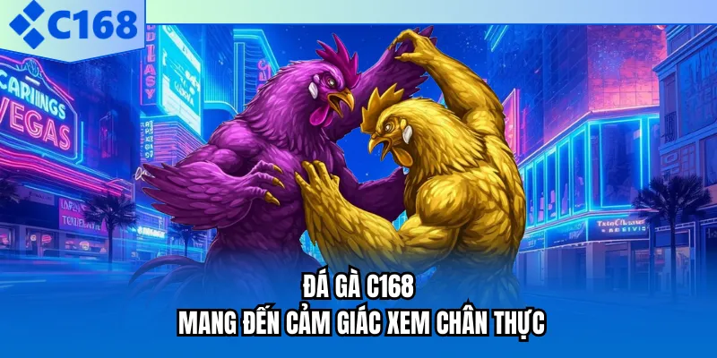 Đá gà C168 mang đến cảm giác xem chân thực